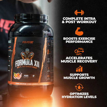 Huge Supps FORMULA XII Carb Powder