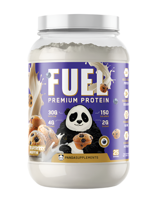 Panda Fuel Protein Blueberry Muffin